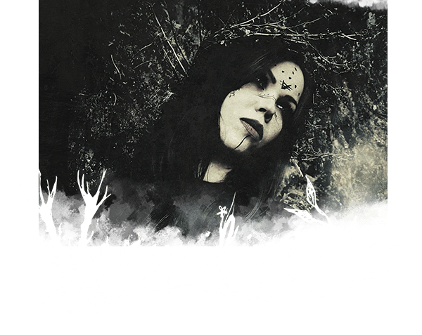 Vermilia